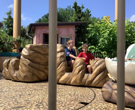 Img 1714